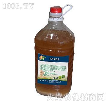 �ն����섩��5L��-���Z����