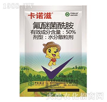 50%���Ѿ�����-���Z��-���r(n��ng)(li��n)��