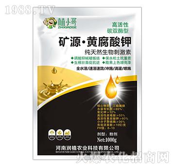 �VԴ���S�����-��(r��n)ֲ