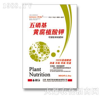 �������S��ֲ���-�f(w��n)��