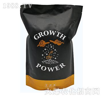 �VԴ�S�����-Ӣ��