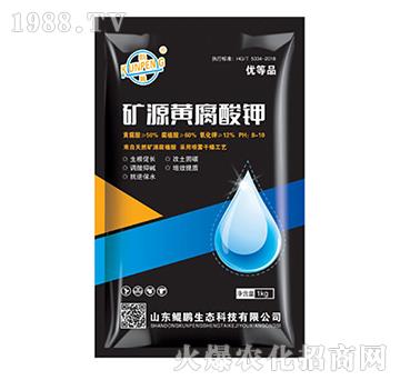 �VԴ�S�����-�H�i���B(t��i)