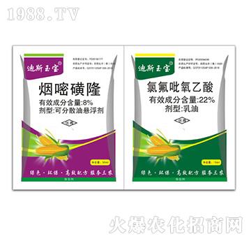 ���׻�¡+�ȷ���������-��˹��-�ݵ�˹