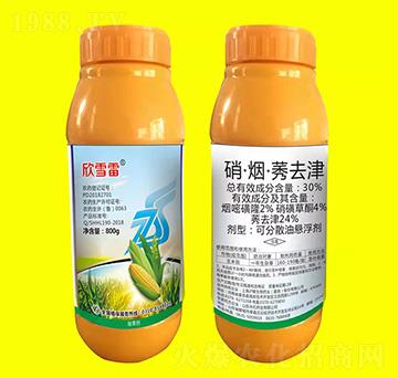 30%��������ݬȥ��-��ѩ��