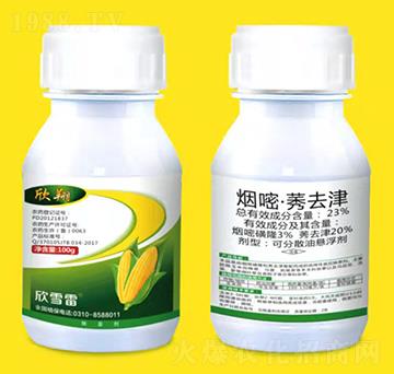 23%���ס�ݬȥ��-����-��ѩ��