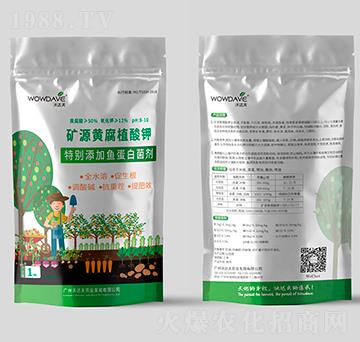 �VԴ�S��ֲ���-���_��