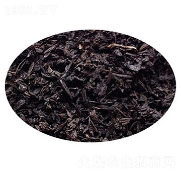 ̼������-�۱���