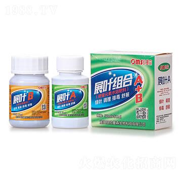 չ�~�M��A+B-�W��ɭ