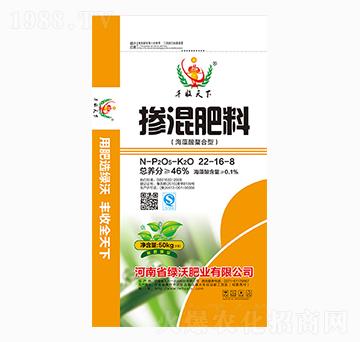 �����������͓������22-16-8-�S������-�G�ַʘI(y��)