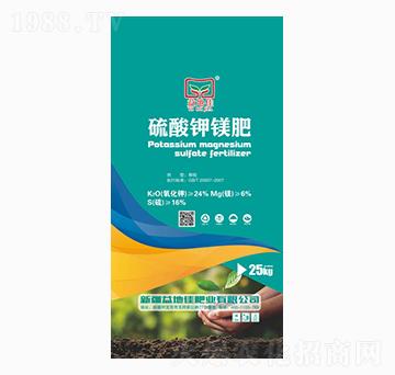 ������V��-��ؼ�