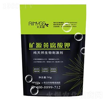 �VԴ�S�����-������