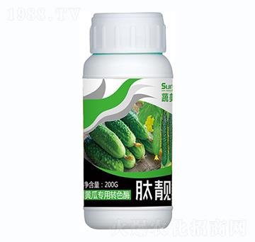 �S�ό�(zhu��n)���D(zhu��n)ɫø-���n��-������