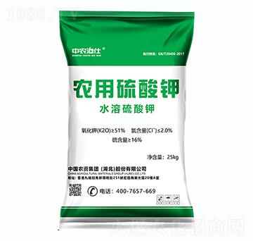 �r�������-���r����-���طʘI(y��)