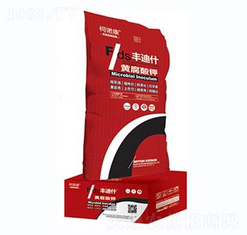 �S�����-�S��ʲ-���Z��-�|�Ҙ�