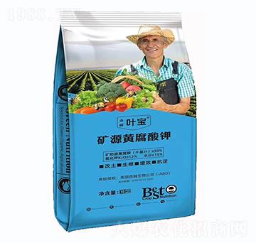 �VԴ�S�����-���~ֲ��