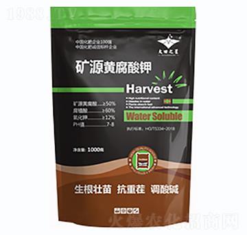 �VԴ�S�����-�º���