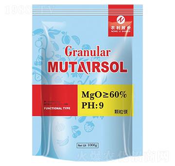 �w���V-�r(n��ng)��