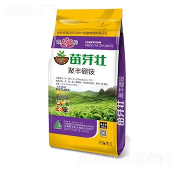 ��ѿ��-���S�ʘI(y��)