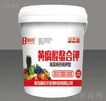 �S���������-嫘���