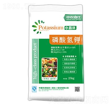 ������-���r����-���طʘI(y��)