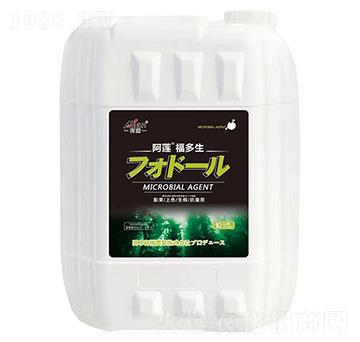 ������-��ɏ-���r��