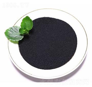 �S����⛢���-���B��