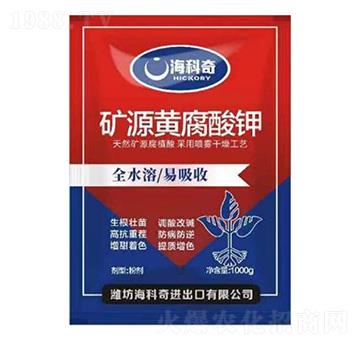 �VԴ�S�����-������