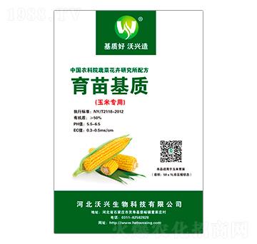 ���׌���������|(zh��)-���d����