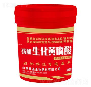 �f(w��n)�A��̼ø�����S����-��ʥ����