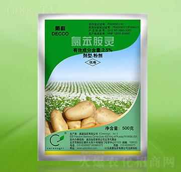 ������ѿ��-�ȱ����`-