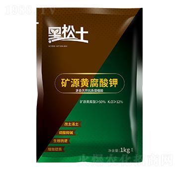 �VԴ�S�����-������-�r(n��ng)��ʘI(y��)