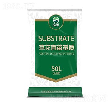 �ݻ�������|(zh��)-����