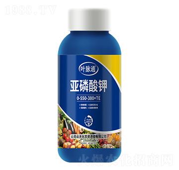 �������0-550-380+TE-�~�}ͨ-���컯�r�Y