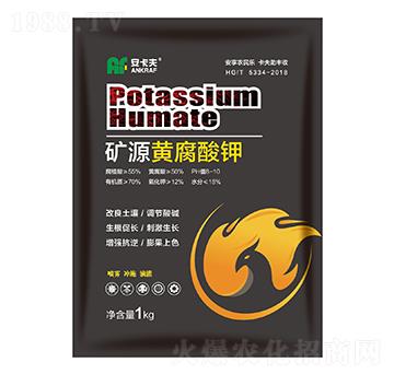 �VԴ�S�����-������