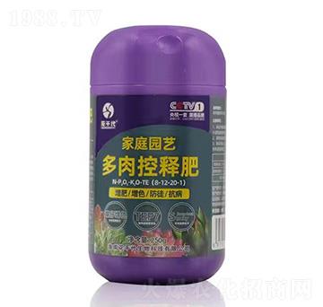 �����ጷ�8-12-20+TE-��ǧ��