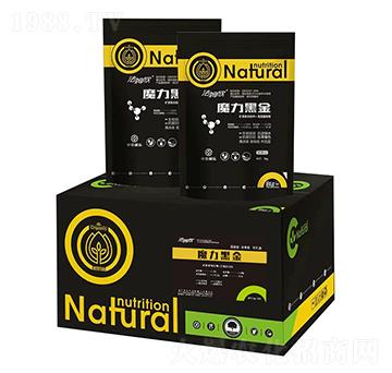 ħ���ڽ�-��ķ��-���r(n��ng)����