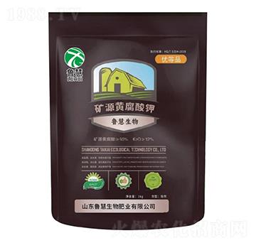 �VԴ�S�����-��������