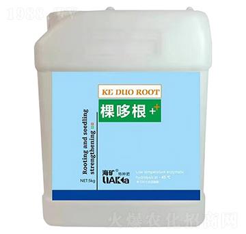 �ö߸�+-���V-�����R