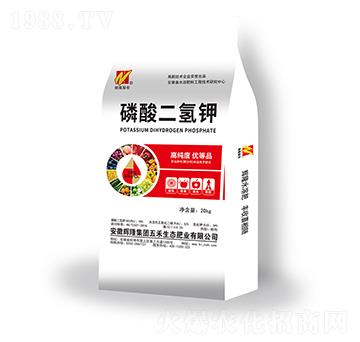 �߼�����������-�x¡���F(tu��n)