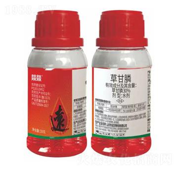 30%�ݸ��ˮ��-�͠D-�|�h����