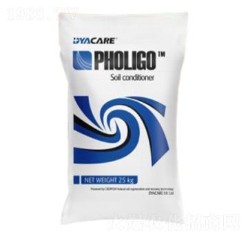 �����{�턩-�����ɷ�