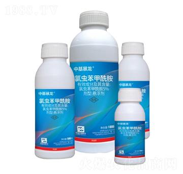 5%���x���������Ҹ�����SC��-�л�����-�л�����ƌW(xu��)