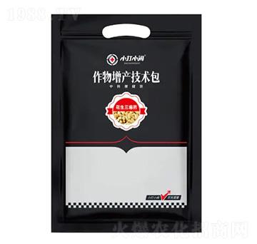 �������a���g��-��������ˎ-С��С�[-��������