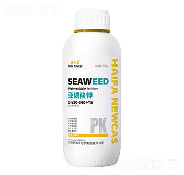 �������0-520-340+TE-�~����-���r�W��