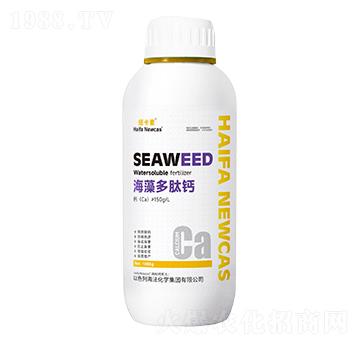 ��������}-�~����-���r�W��