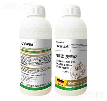 20%���ǰ�����800g-�f�ݻ���-�f��