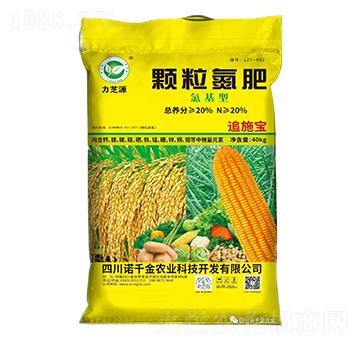 ����������w������-��֥Դ-�Zǧ���r�I(y��)