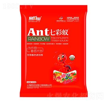 ������ɫ�T����-�߲�ρ-�������