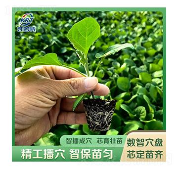 ����-�P����