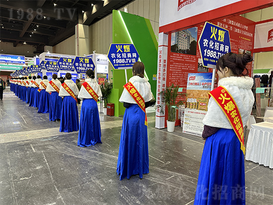 �𱬾W(w��ng)��Ů�Y�x���������2024��ԭ�r(n��ng)�Y�p������